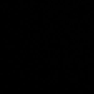 Meet your Posher, Antonio